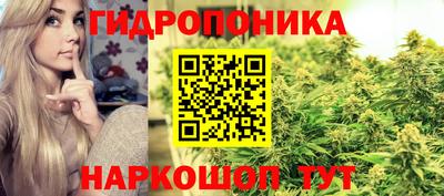 крисы Ивантеевка