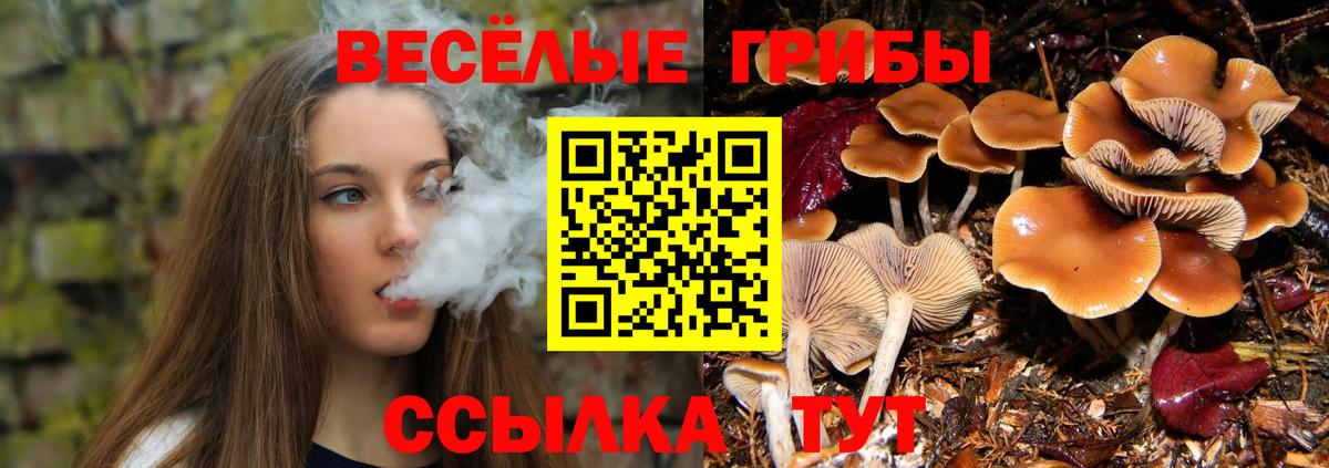 Галлюциногенные грибы Cubensis Дербент